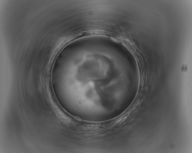 X0000093240049200709261717