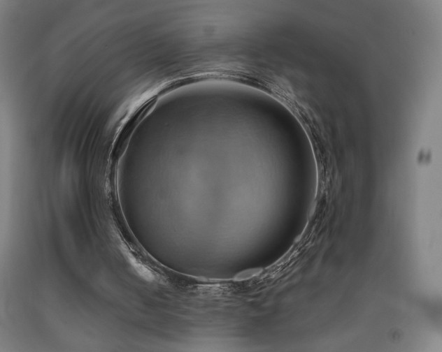 X0000093240050200709261717