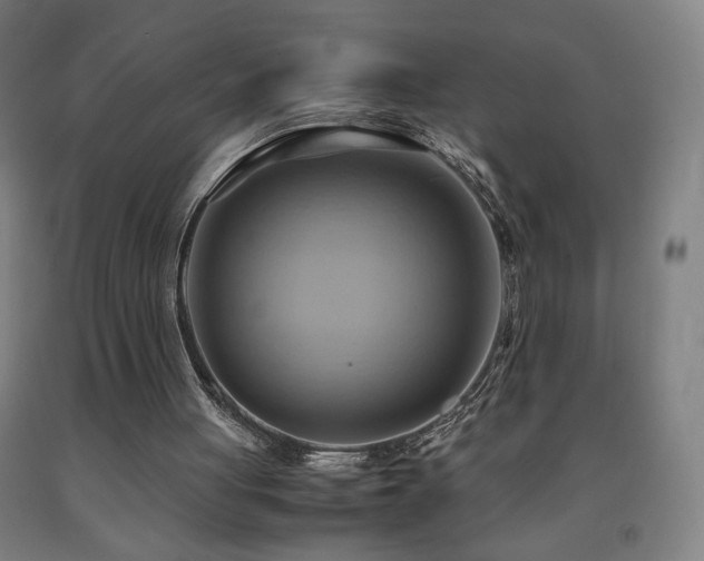 X0000093240051200709261717