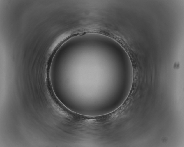 X0000093240054200709261717