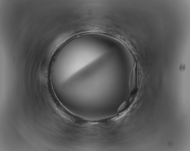 X0000093240055200709261717
