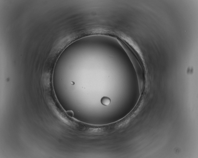 X0000093240057200709261717