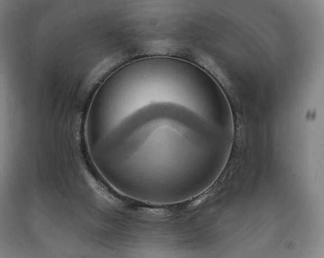 X0000093240058200709261717