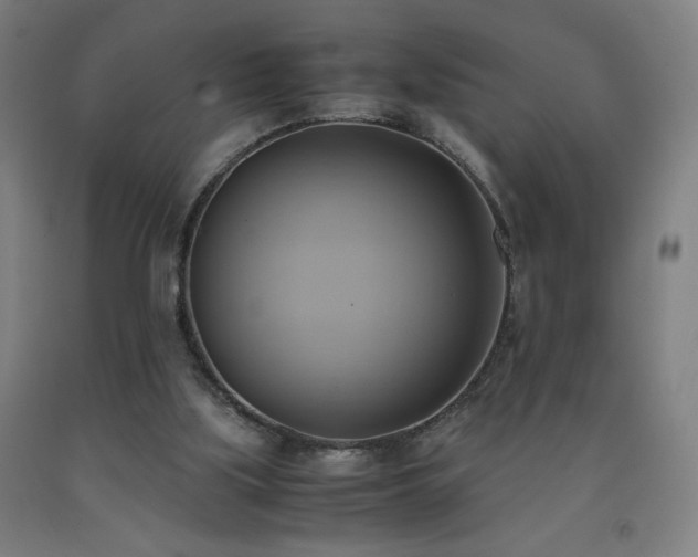 X0000093240059200709261717