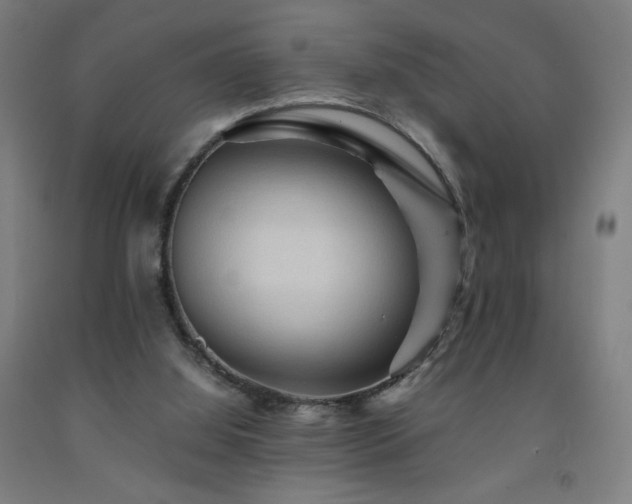 X0000093240060200709261717