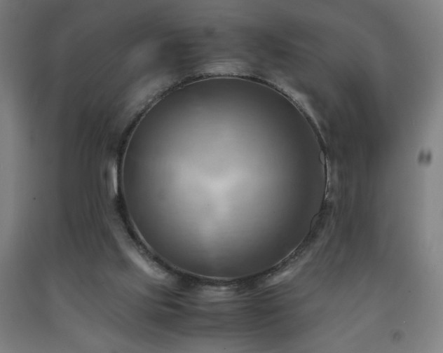 X0000093240061200709261717