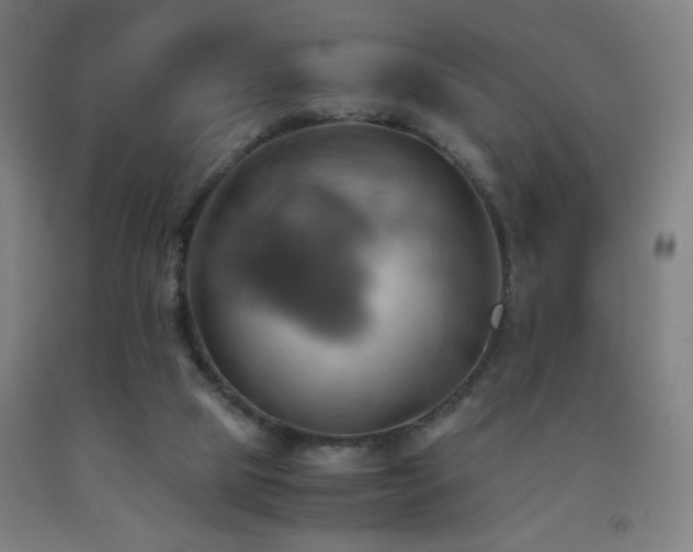 X0000093240065200709261717