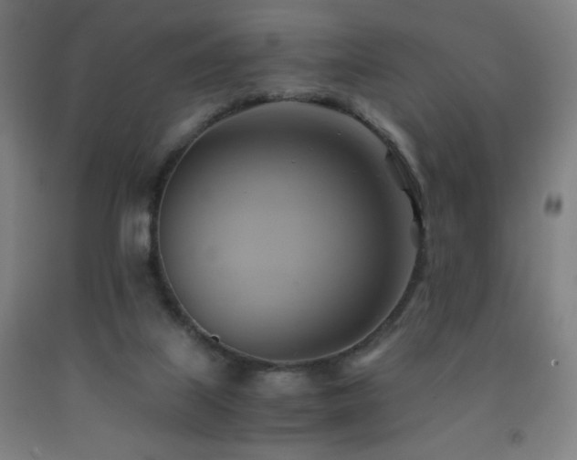 X0000093240067200709261717