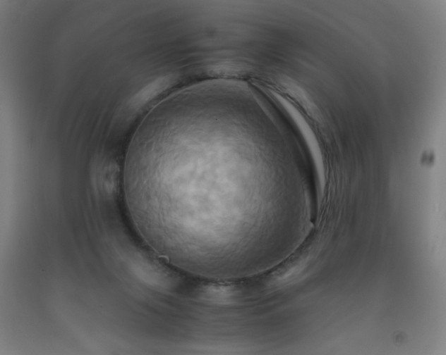 X0000093240071200709261717