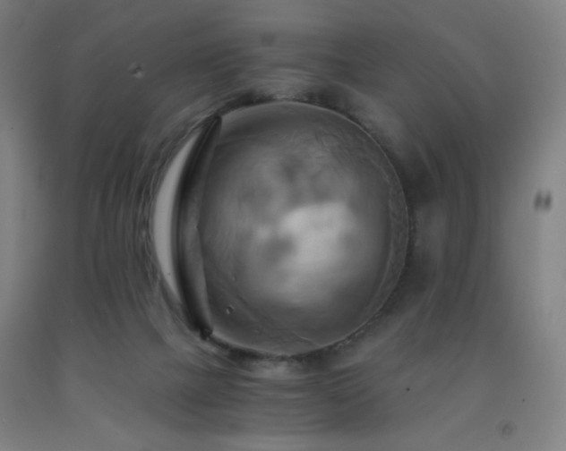 X0000093240073200709261717