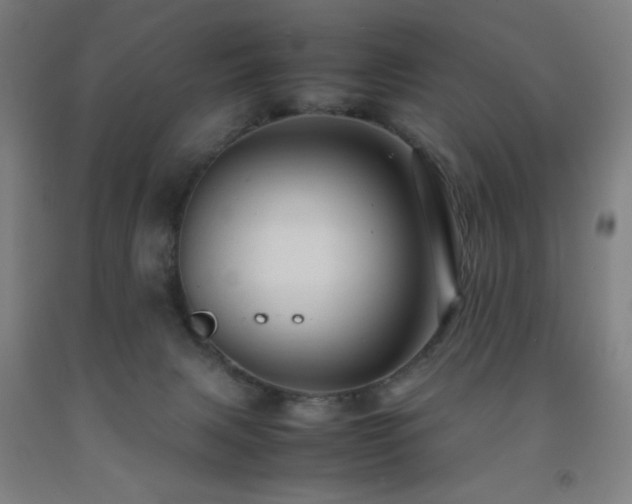 X0000093240079200709261717