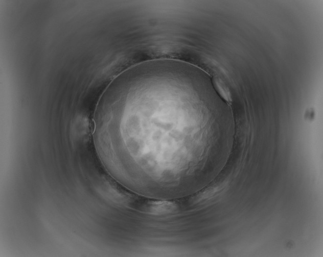 X0000093240087200709261717