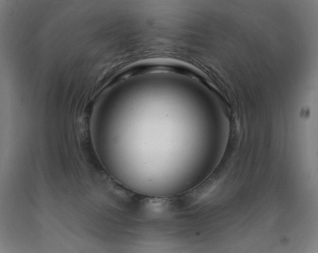X0000093240088200709261717