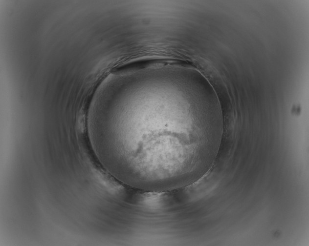 X0000093240090200709261717