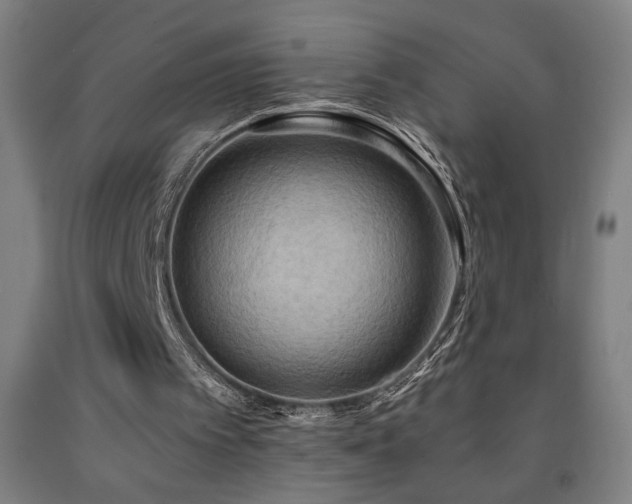 X0000093240097200709261717