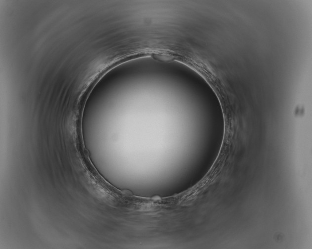 X0000093240098200709261717