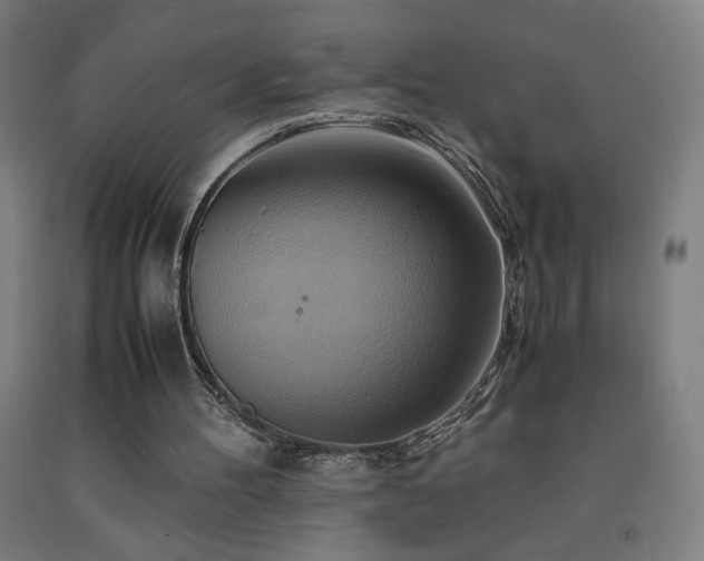 X0000093240100200709261717