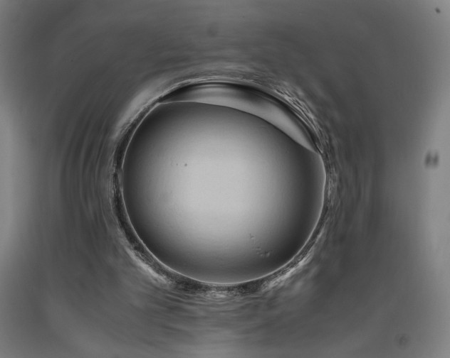 X0000093240101200709261717