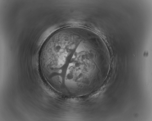 X0000093240103200709261717