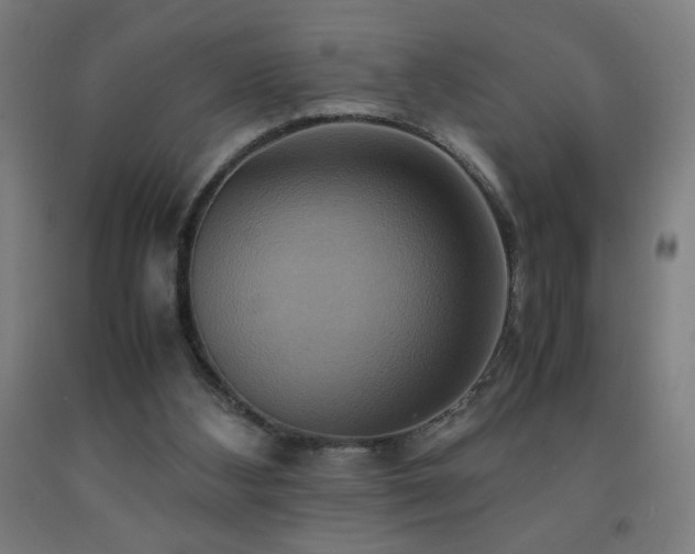 X0000093240108200709261717