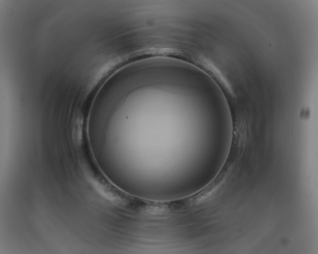 X0000093240110200709261717