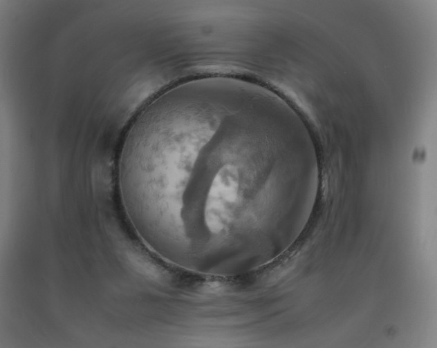 X0000093240111200709261717