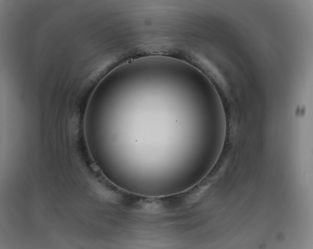 X0000093240113200709261717
