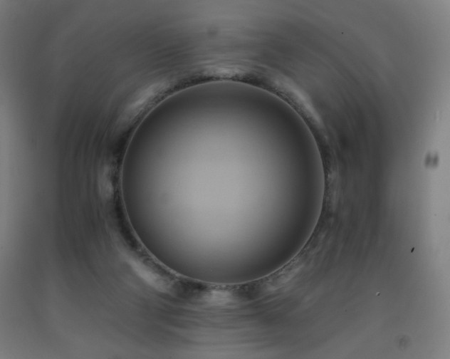 X0000093240114200709261717