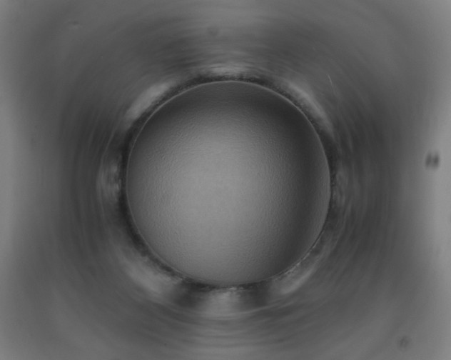 X0000093240116200709261717