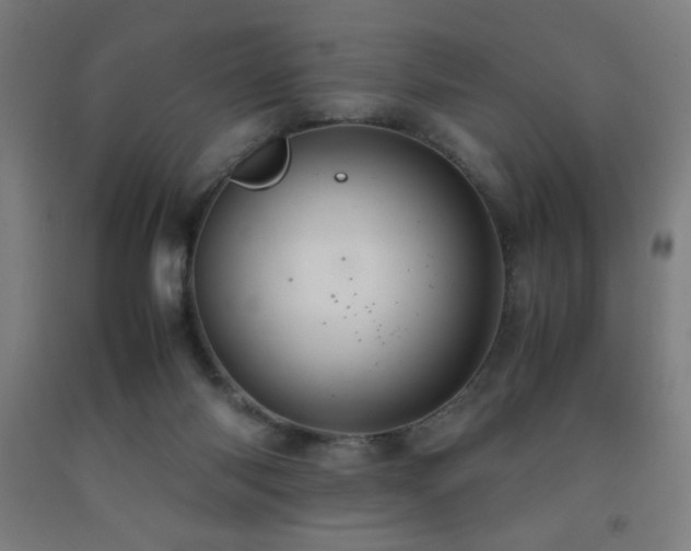 X0000093240118200709261717