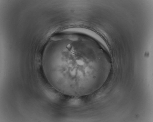 X0000093240119200709261717