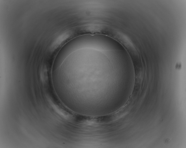 X0000093240120200709261717