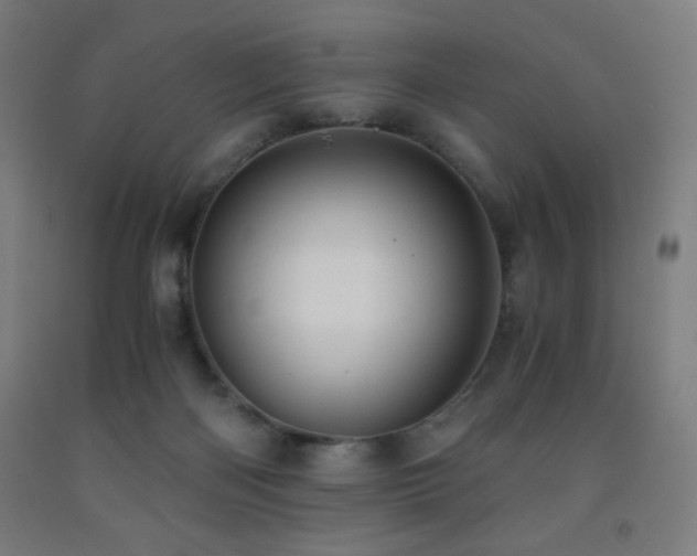 X0000093240122200709261716