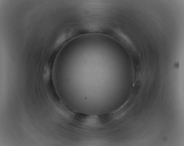 X0000093240124200709261716
