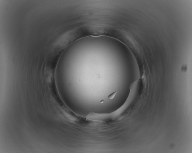 X0000093240125200709261716