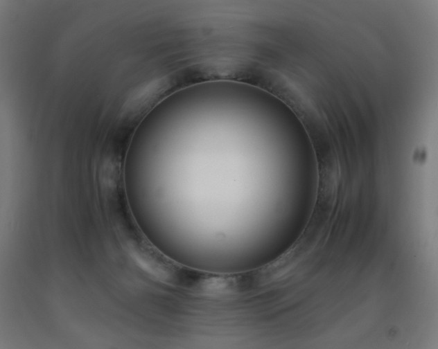 X0000093240126200709261716