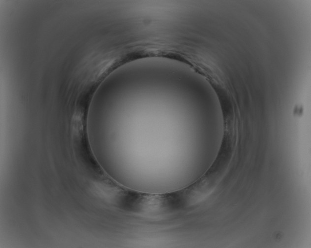 X0000093240127200709261716