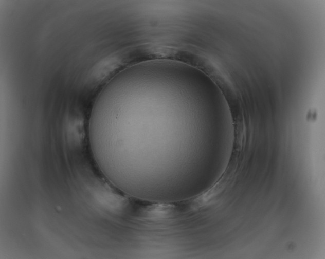 X0000093240128200709261716