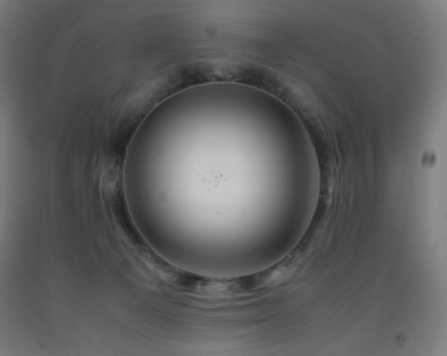 X0000093240129200709261716