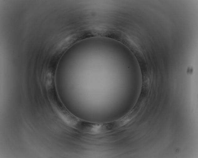 X0000093240130200709261716