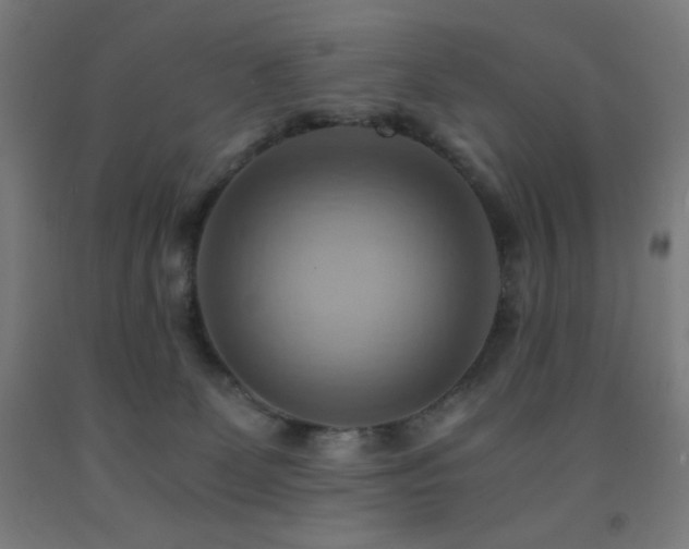 X0000093240131200709261716