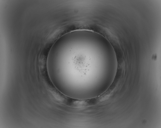 X0000093240133200709261716