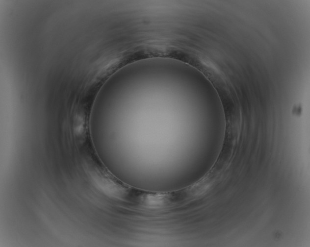 X0000093240134200709261716