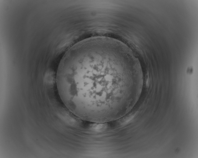 X0000093240135200709261716