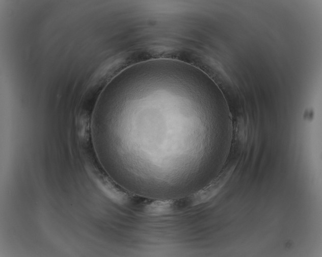 X0000093240138200709261716