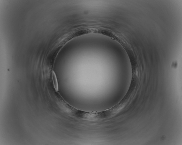 X0000093240139200709261716