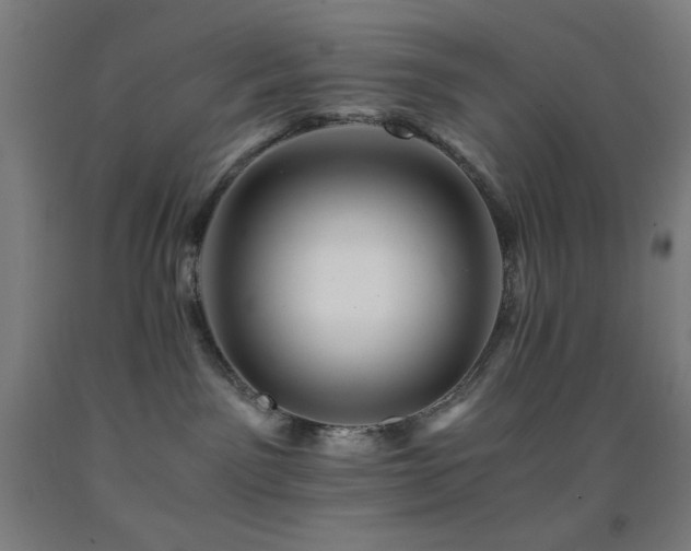 X0000093240141200709261716