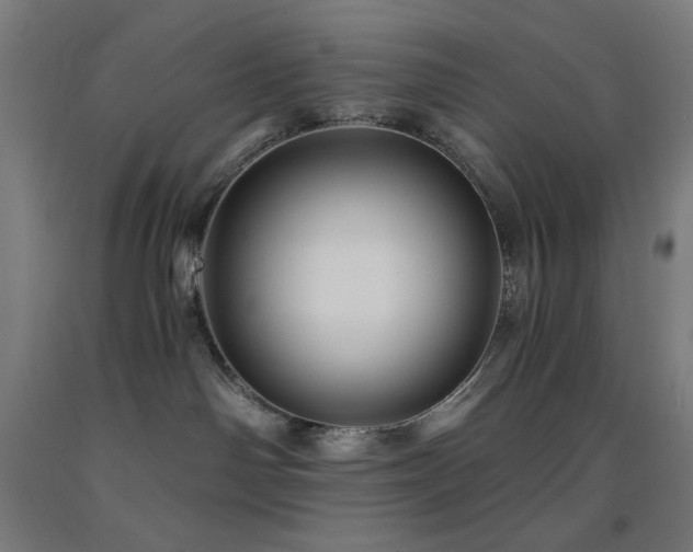 X0000093240142200709261716