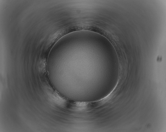 X0000093240144200709261716