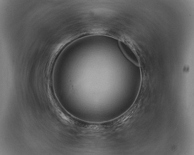 X0000093240145200709261715